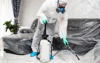 Experience Instant Relief with No contract pest control in Las Vegas