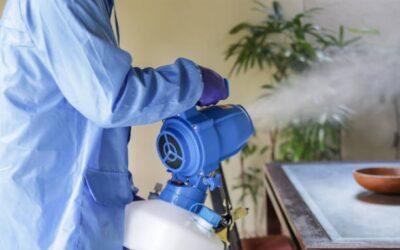 What you should know before, during and after fumigation