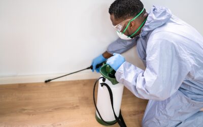 The Bug Guy near Me How to Find the Best Pest Control Service in Las Vegas